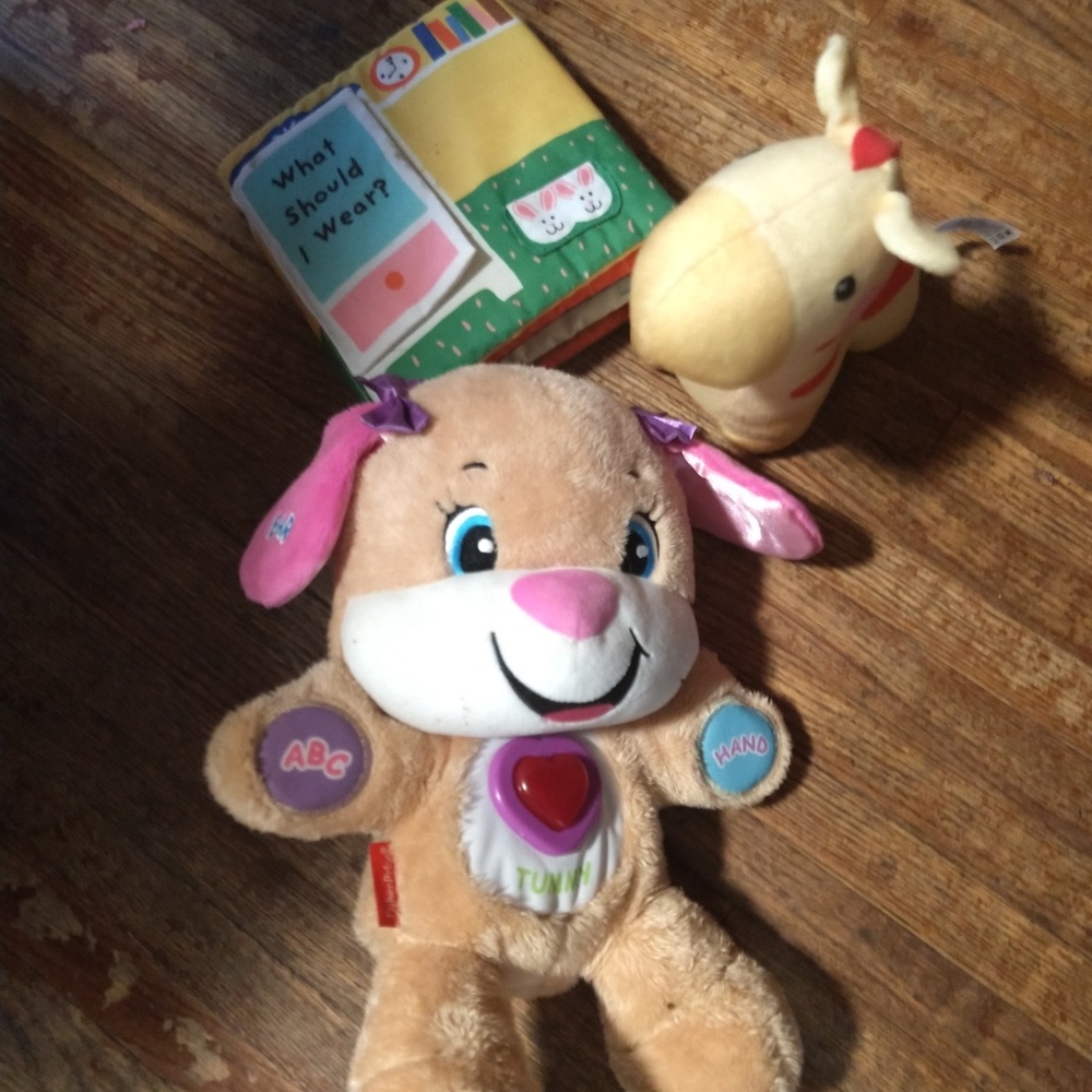 Laugh and learn puppy lot